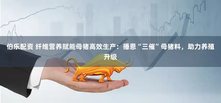 伯乐配资 纤维营养赋能母猪高效生产：播恩“三催”母猪料，助力养殖升级