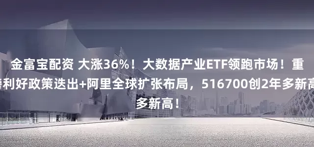 金富宝配资 大涨36%！大数据产业ETF领跑市场！重磅利好政策迭出+阿里全球扩张布局，516700创2年多新高！
